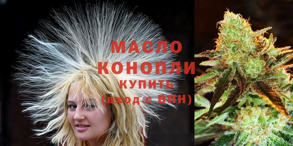 сатива Балахна