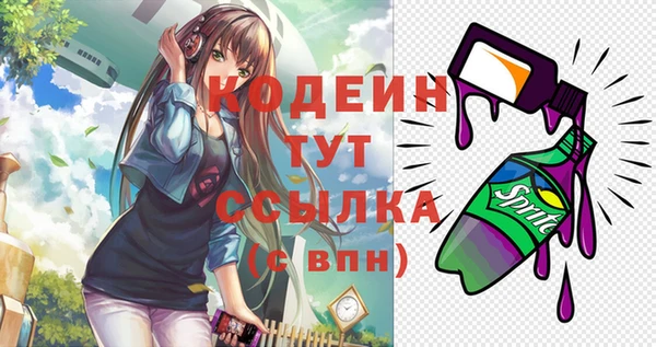 сатива Балахна