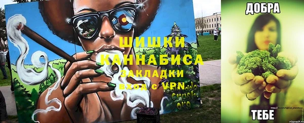 сатива Балахна