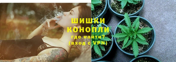 сатива Балахна