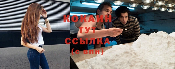 сатива Балахна