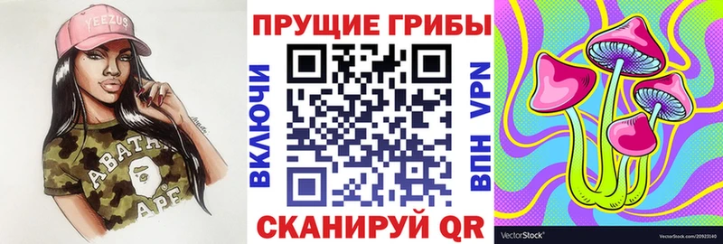 Псилоцибиновые грибы прущие грибы  Белозерск 