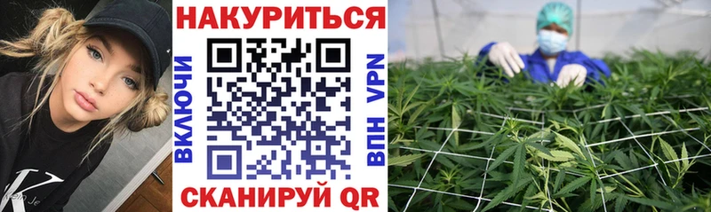 продажа наркотиков  Белозерск  Конопля конопля 
